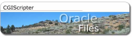 CGIScripter- Oracle Files - Title Graphic
