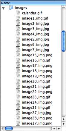 Exported image files list