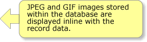 Image Display Note - JPEG and GIF images stored within the database are displayed inline with the record data.